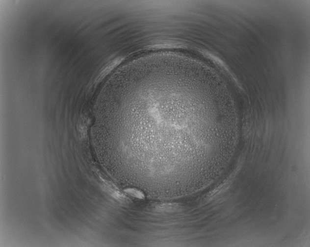 X0000060780833200511101337