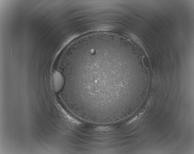 X0000060780835200511101337