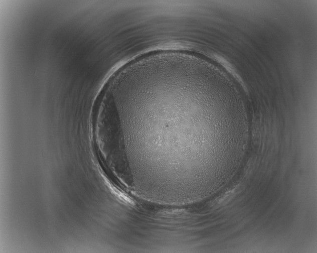 X0000060780837200511101337