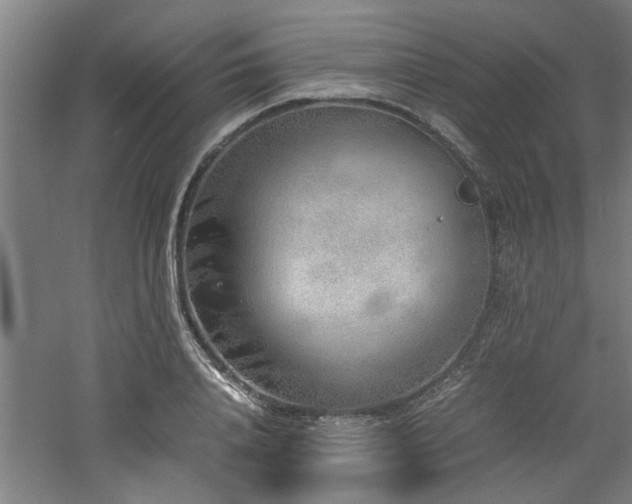 X0000060780840200511101337