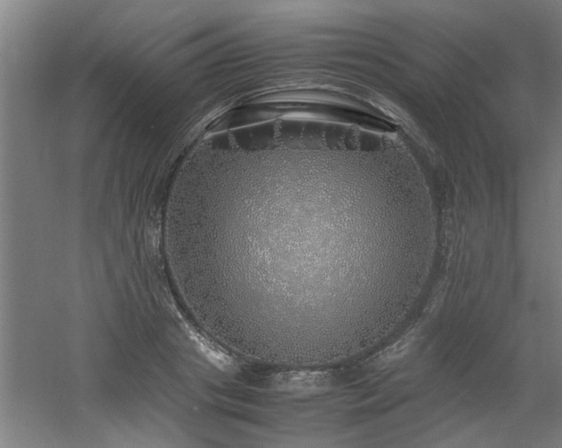 X0000060780841200511101337