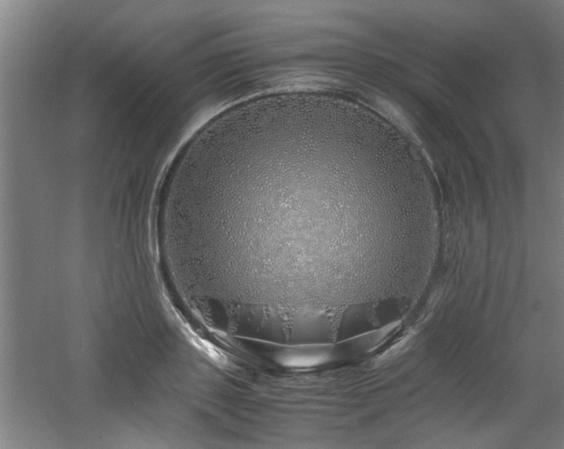 X0000060780843200511101338