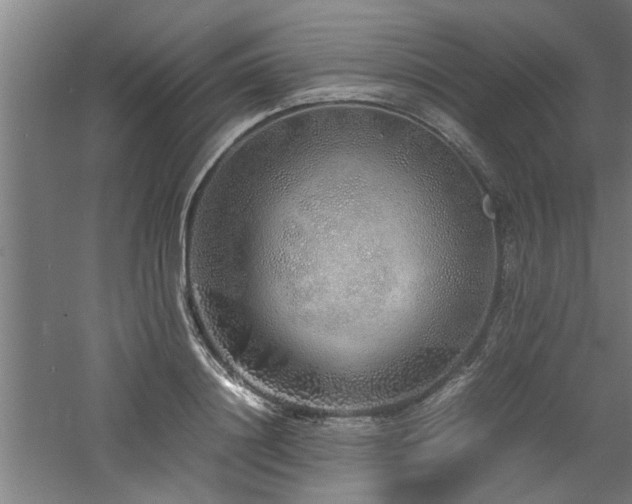 X0000060780844200511101338