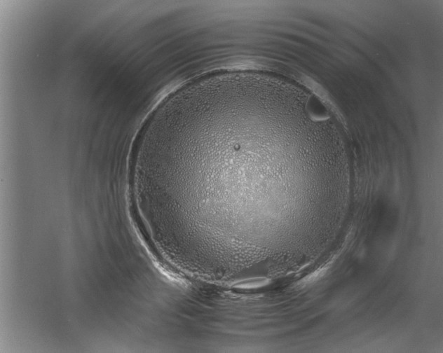 X0000060780845200511101338