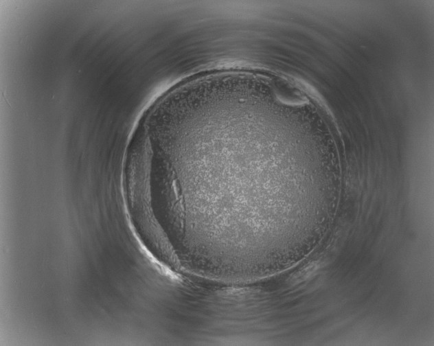 X0000060780847200511101338