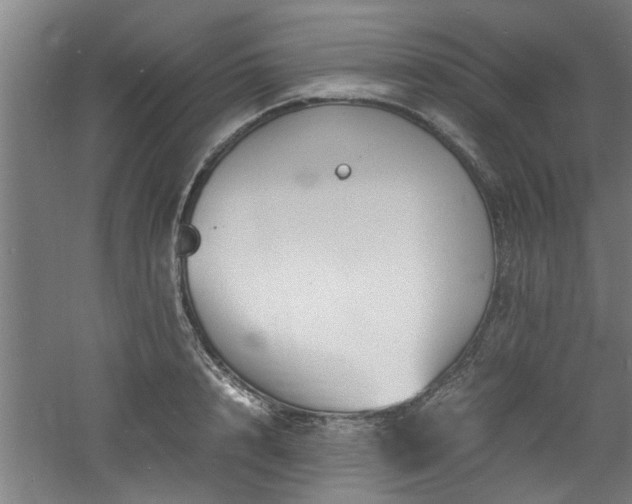 X0000060780848200511101338