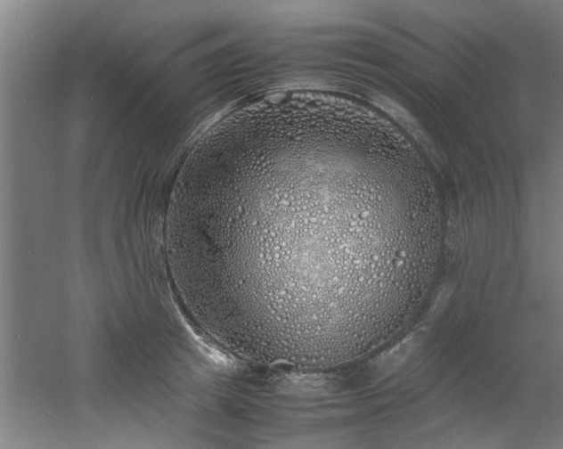 X0000060780849200511101338