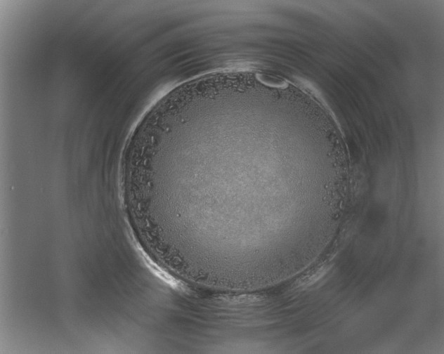 X0000060780851200511101338