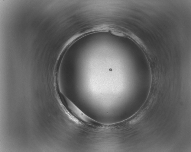 X0000060780854200511101338