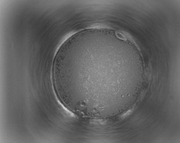 X0000060780855200511101338