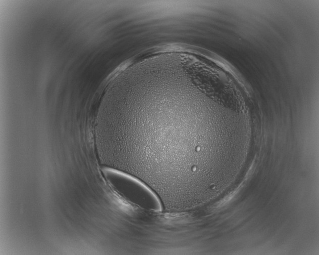 X0000060780857200511101338