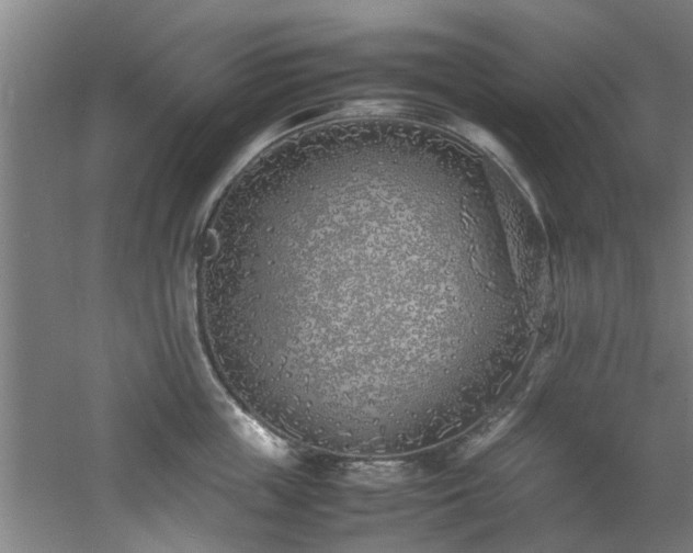 X0000060780859200511101338