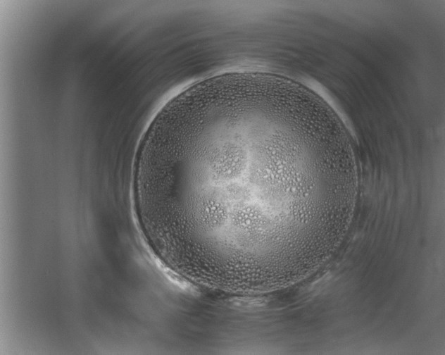 X0000060780861200511101338