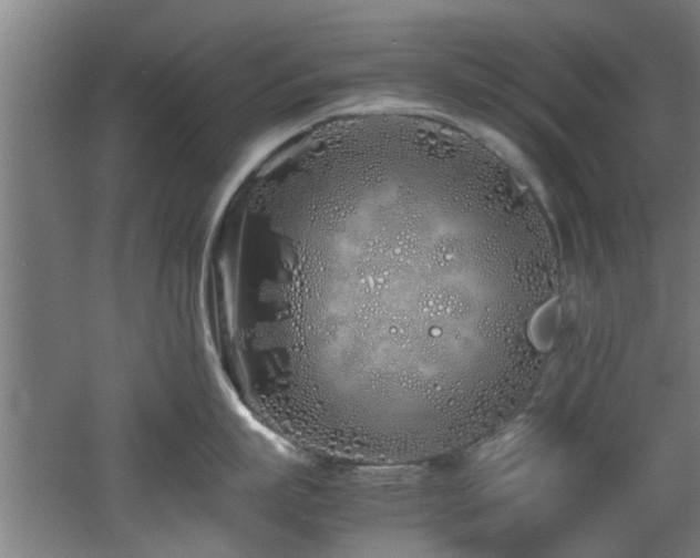 X0000060780863200511101338