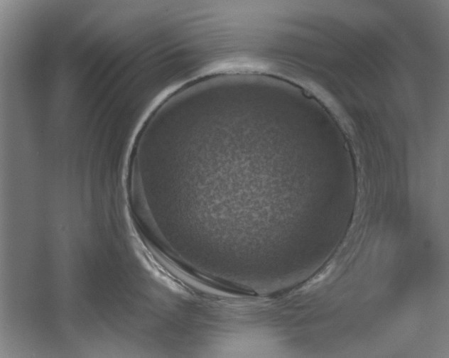 X0000060780864200511101338