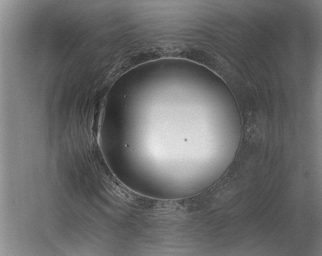 X0000060780866200511101337