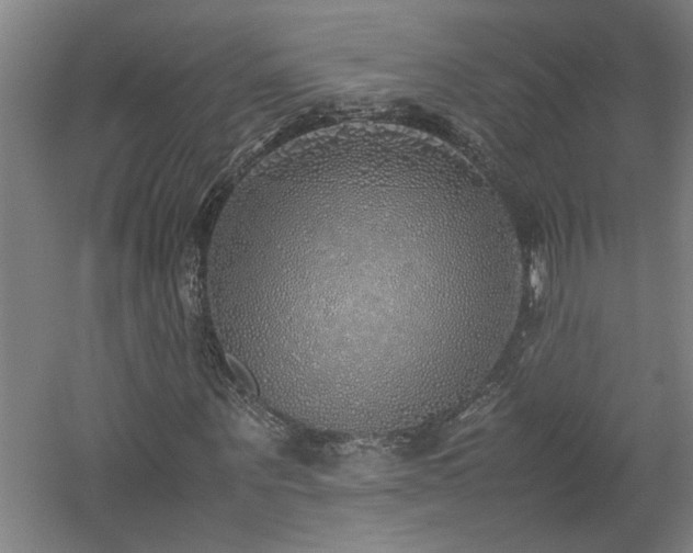 X0000060780867200511101337