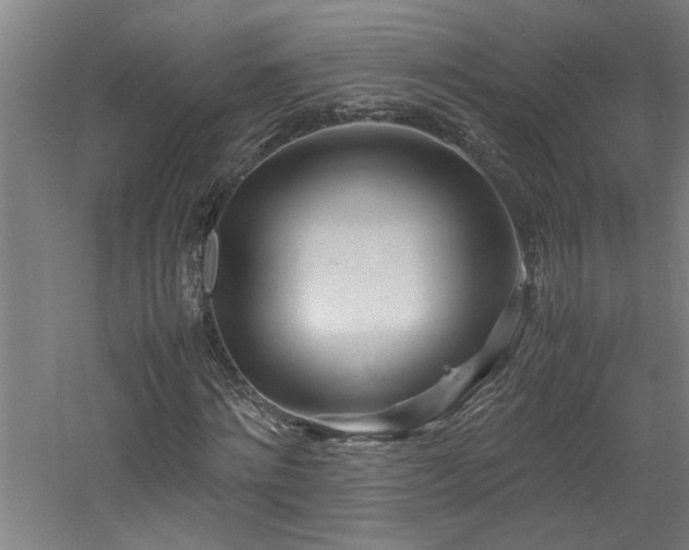 X0000060780868200511101337