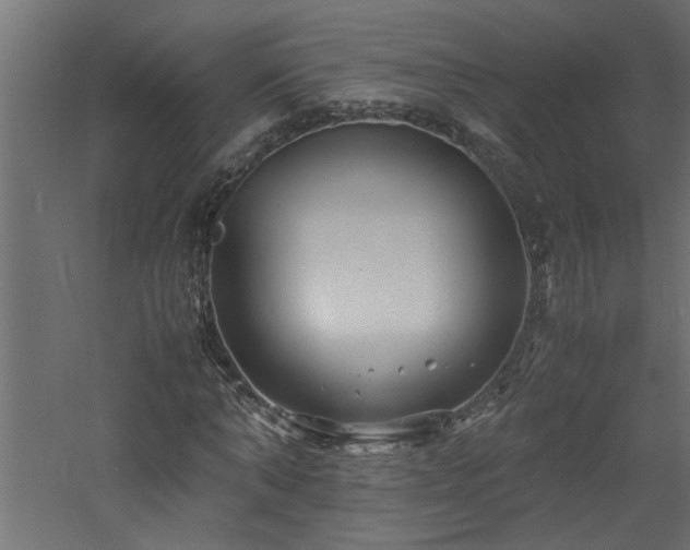 X0000060780870200511101337