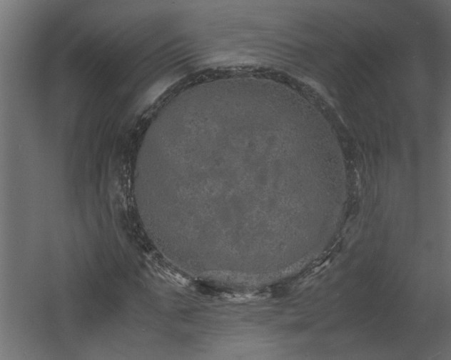 X0000060780871200511101337