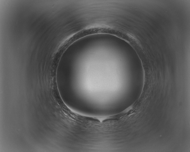 X0000060780872200511101337