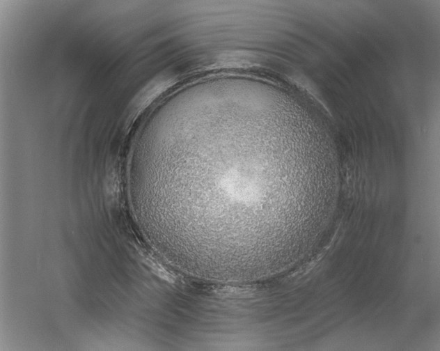 X0000060780874200511101337