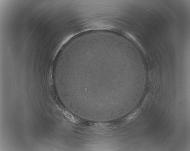 X0000060780875200511101337