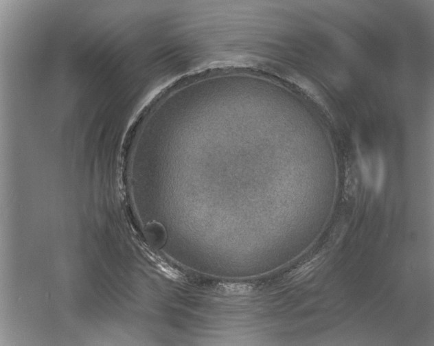 X0000060780878200511101337