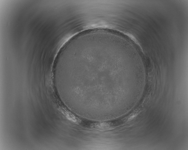 X0000060780879200511101337