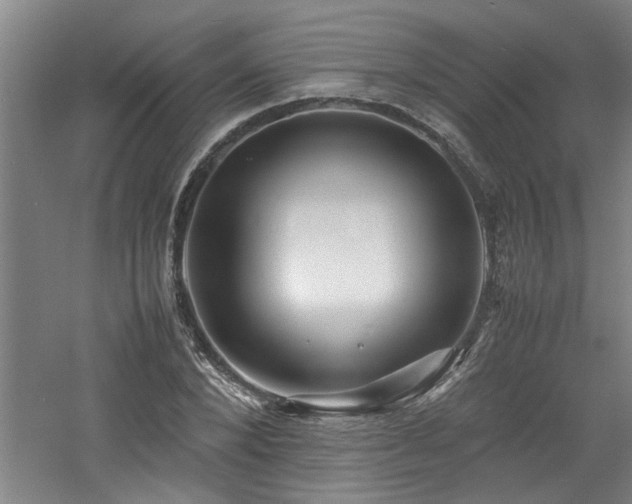 X0000060780880200511101337