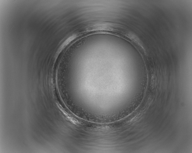 X0000060780882200511101337