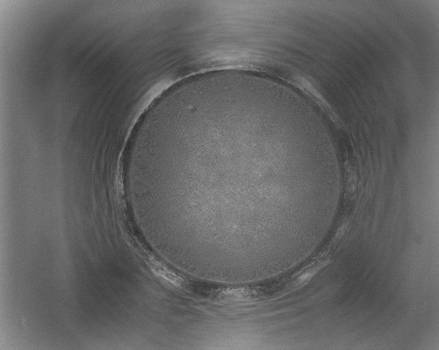 X0000060780883200511101337