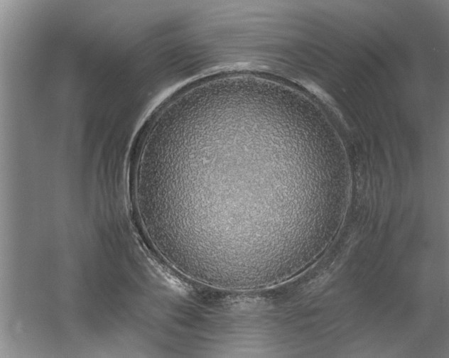 X0000060780886200511101337