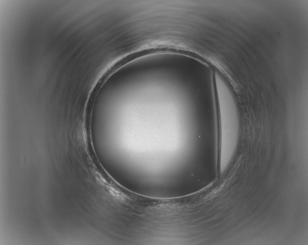 X0000060780888200511101337