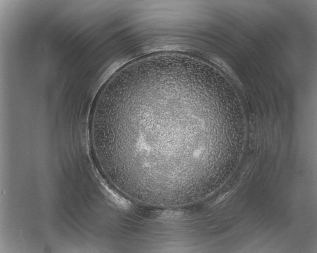 X0000060780890200511101337