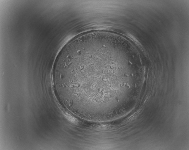 X0000060780891200511101337