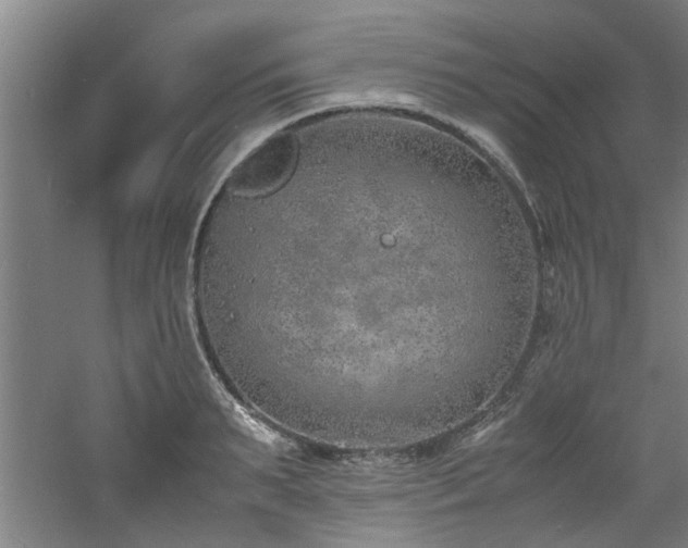 X0000060780895200511101337