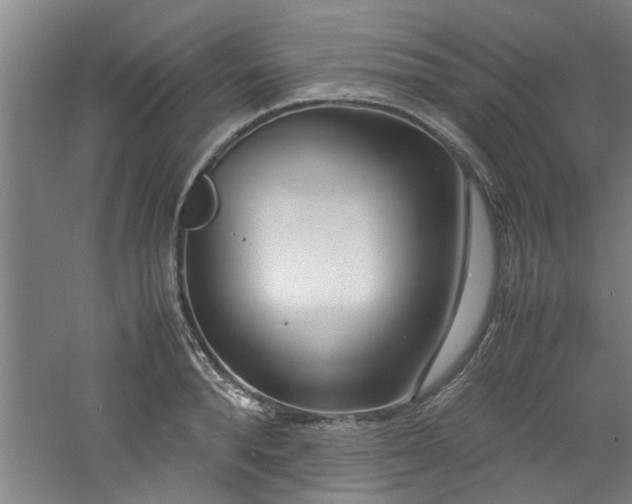 X0000060780896200511101337