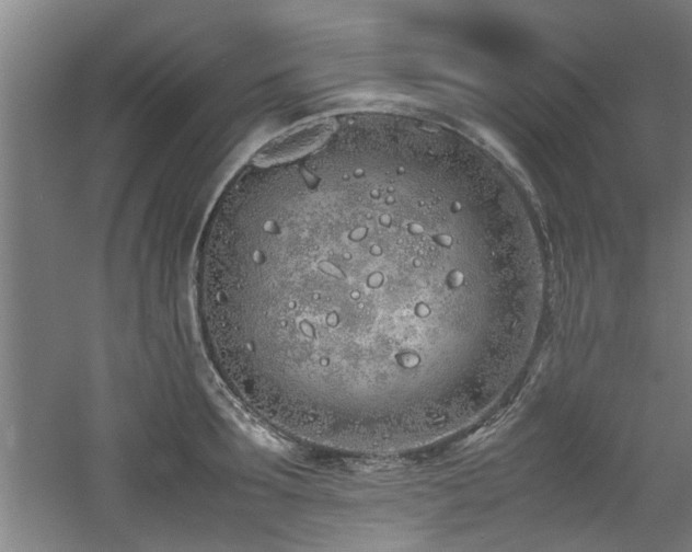 X0000060780899200511101336