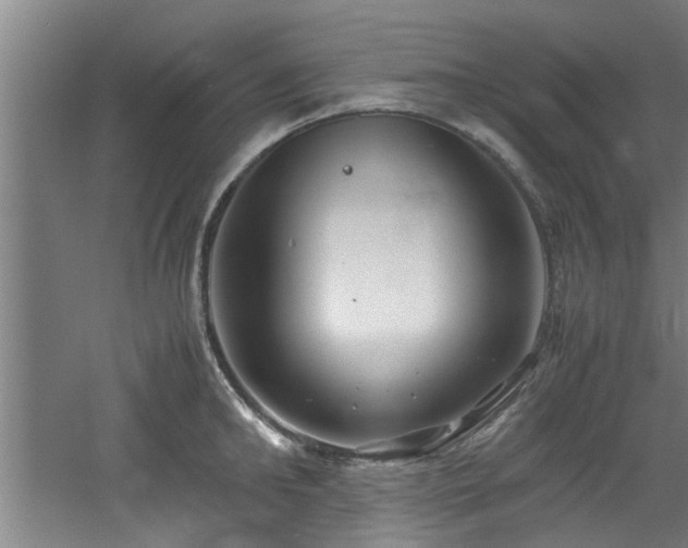 X0000060780902200511101336