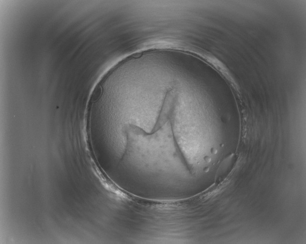 X0000060780904200511101336