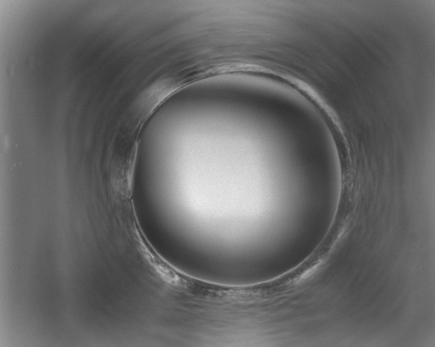 X0000060780905200511101336