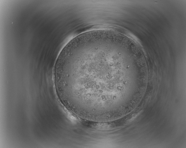 X0000060780907200511101336