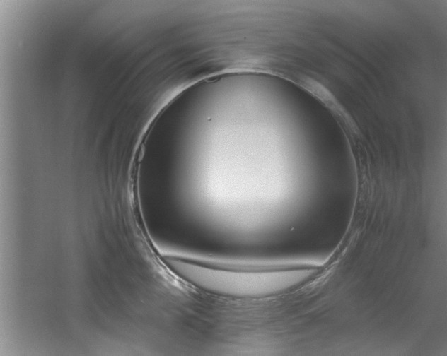 X0000060780908200511101336