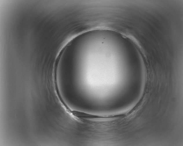 X0000060780910200511101336