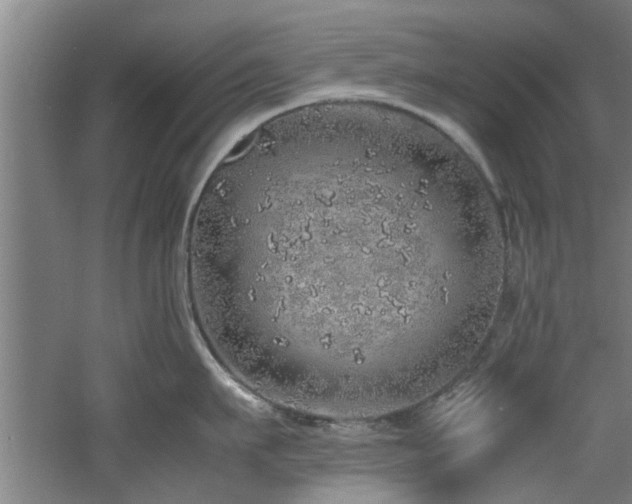 X0000060780911200511101336