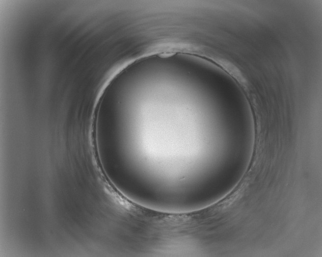 X0000060780912200511101336