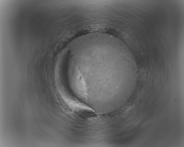 X0000060780913200511101335