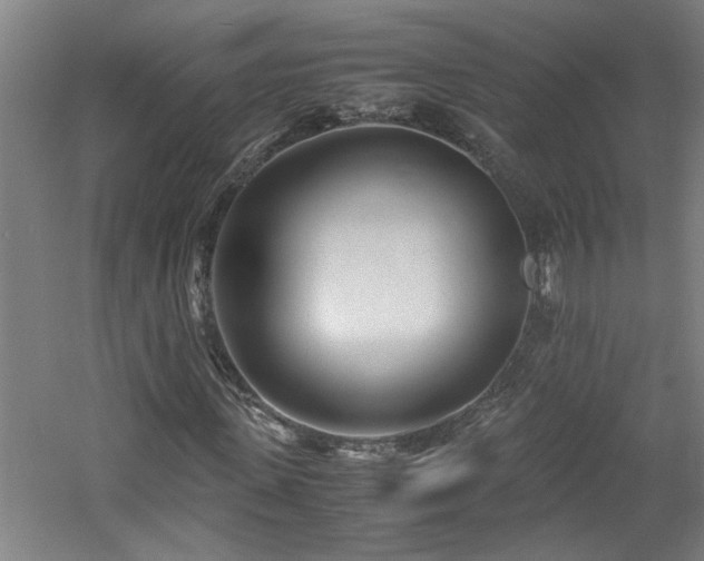 X0000060780915200511101335