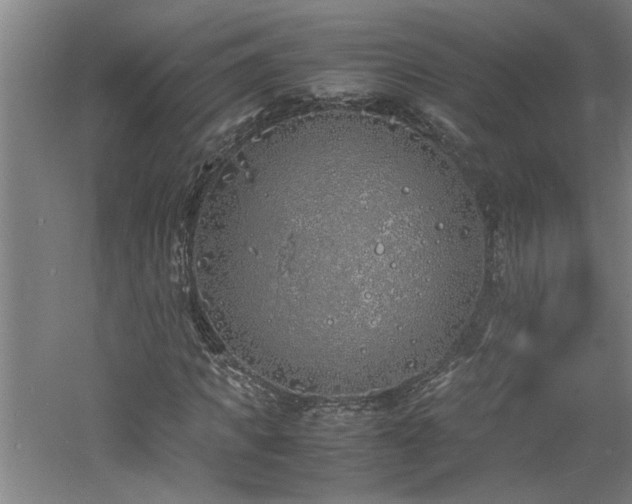 X0000060780917200511101336